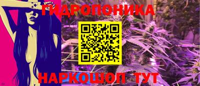 индика Краснознаменск