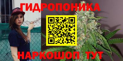 СК Краснокаменск