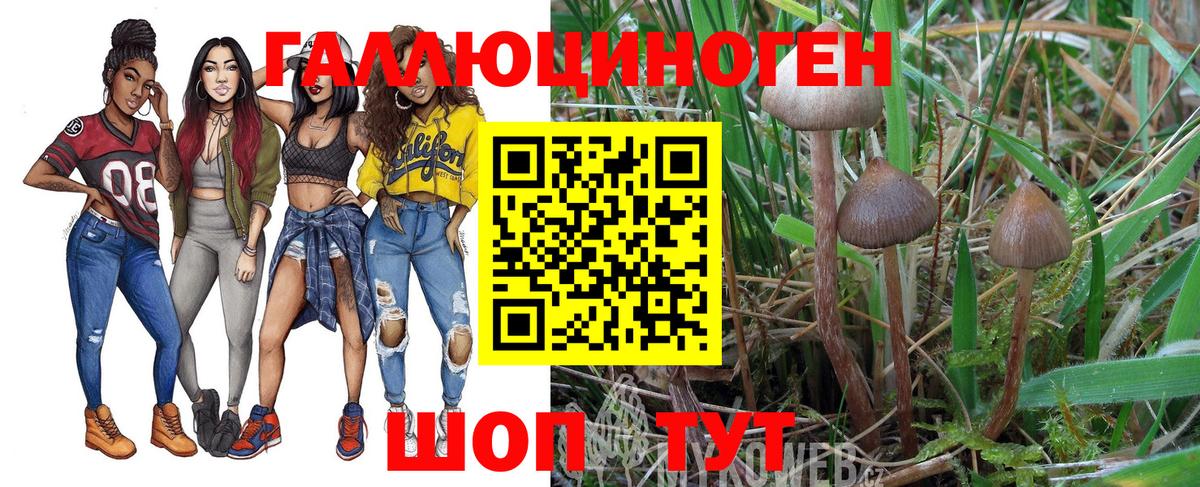Клинцы  хочу   Вход с VPN  Псилоцибиновые грибы мухоморы  Псилоцибиновые грибы MAGIC MUSHROOMS 