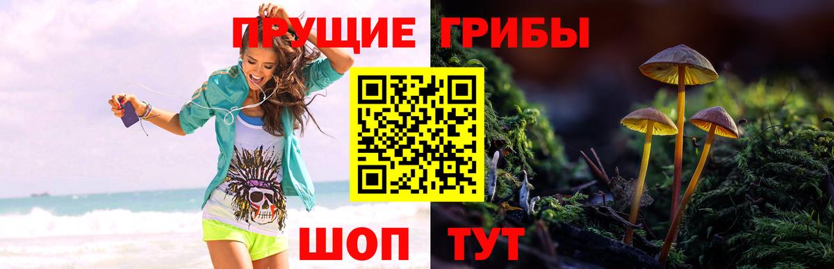 Псилоцибиновые грибы Magic Shrooms Клинцы